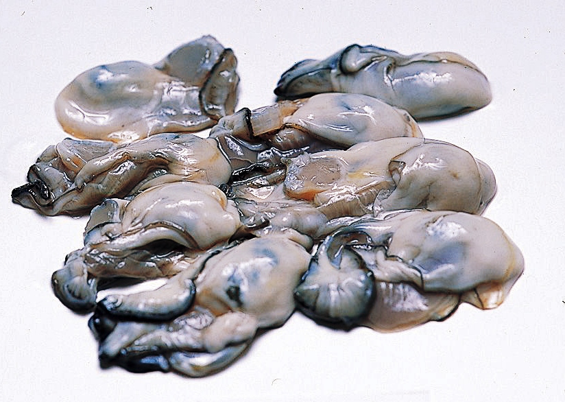 牡蠣（養殖）の画像